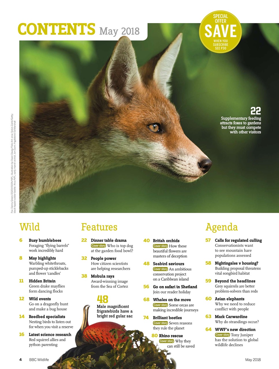BBC Wildlife Magazine Preview Pages