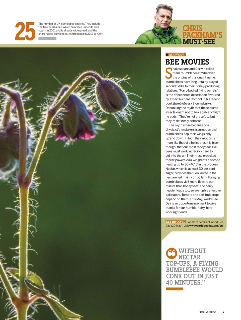 BBC Wildlife Magazine Preview Pages