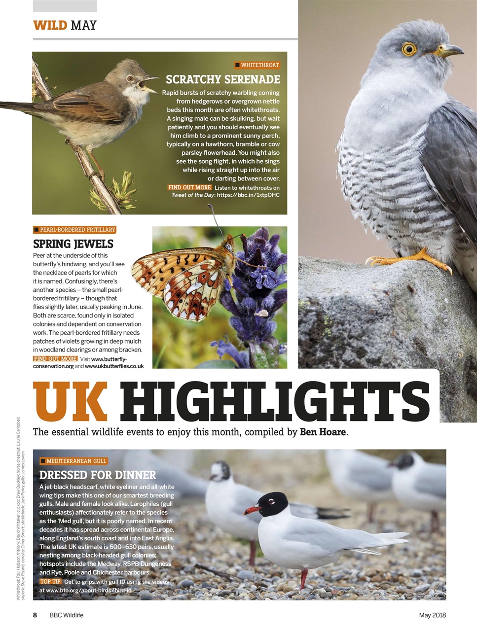 BBC Wildlife Magazine Preview Pages