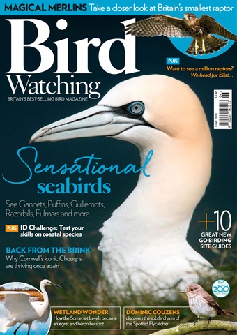 Bird Watching issue June 2018