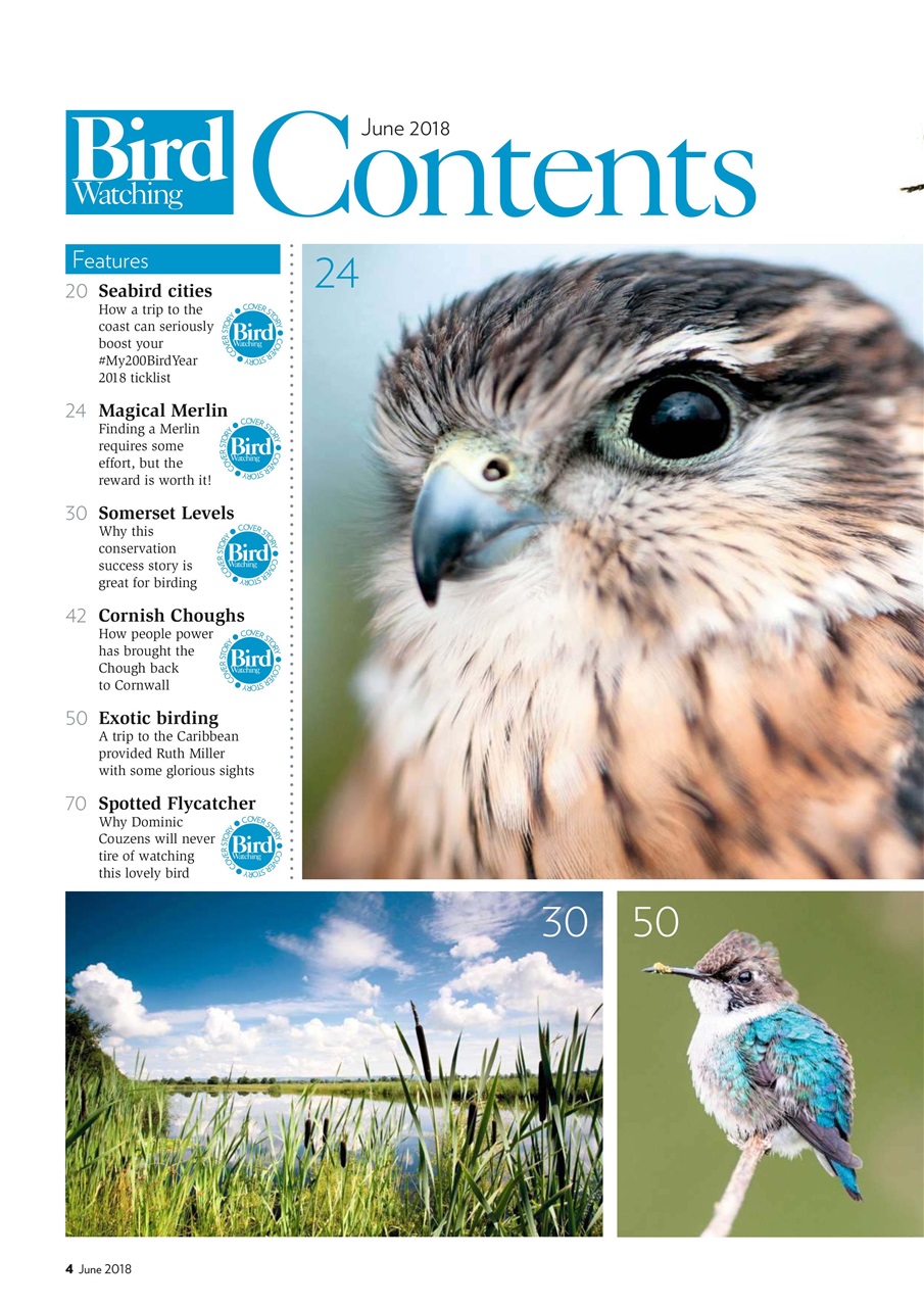 Bird Watching Preview Pages