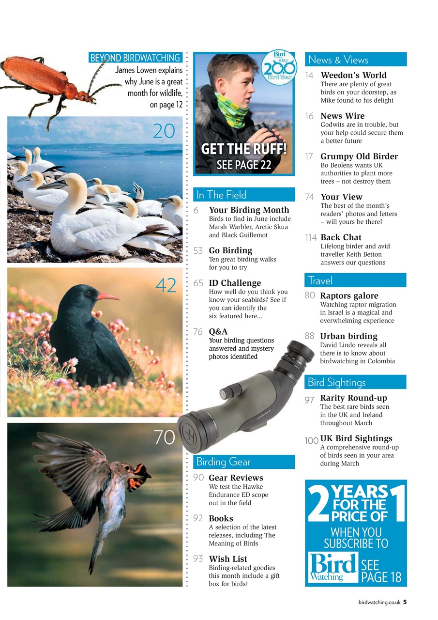 Bird Watching Preview Pages