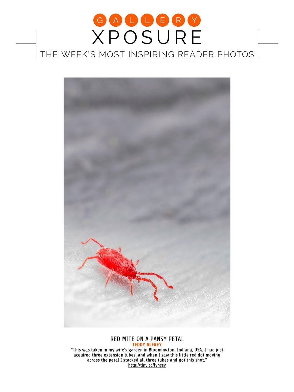 Photography Week Preview Pages