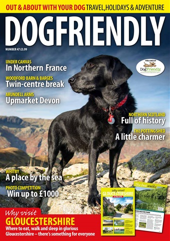 Dog Friendly issue May-Jun 18