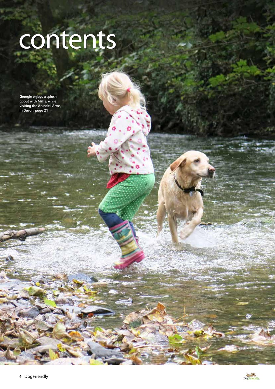 Dog Friendly Preview Pages