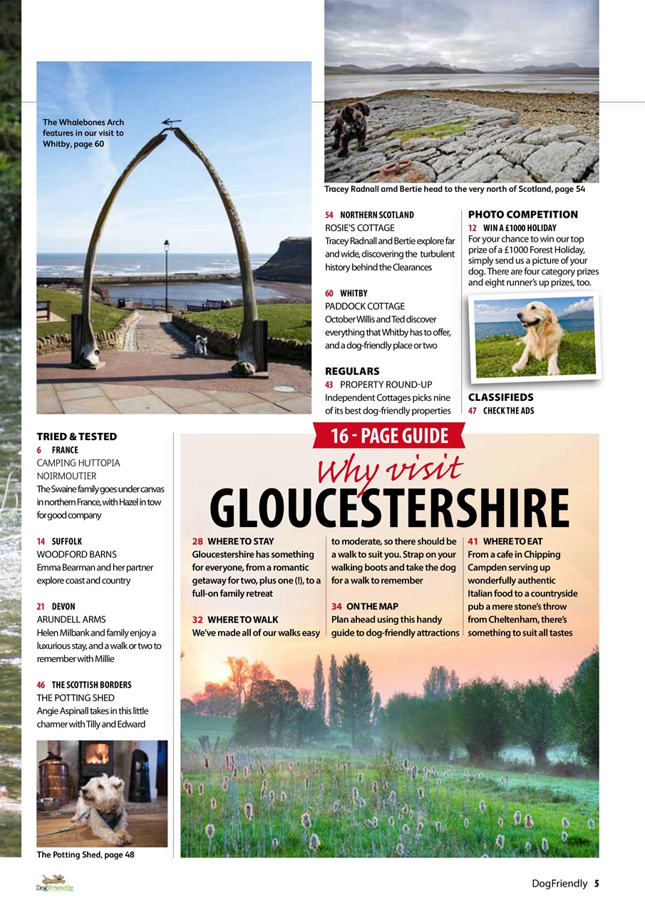 Dog Friendly Preview Pages