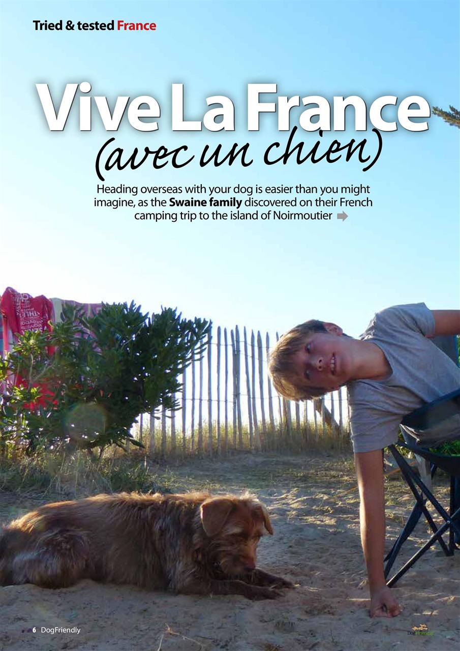 Dog Friendly Preview Pages