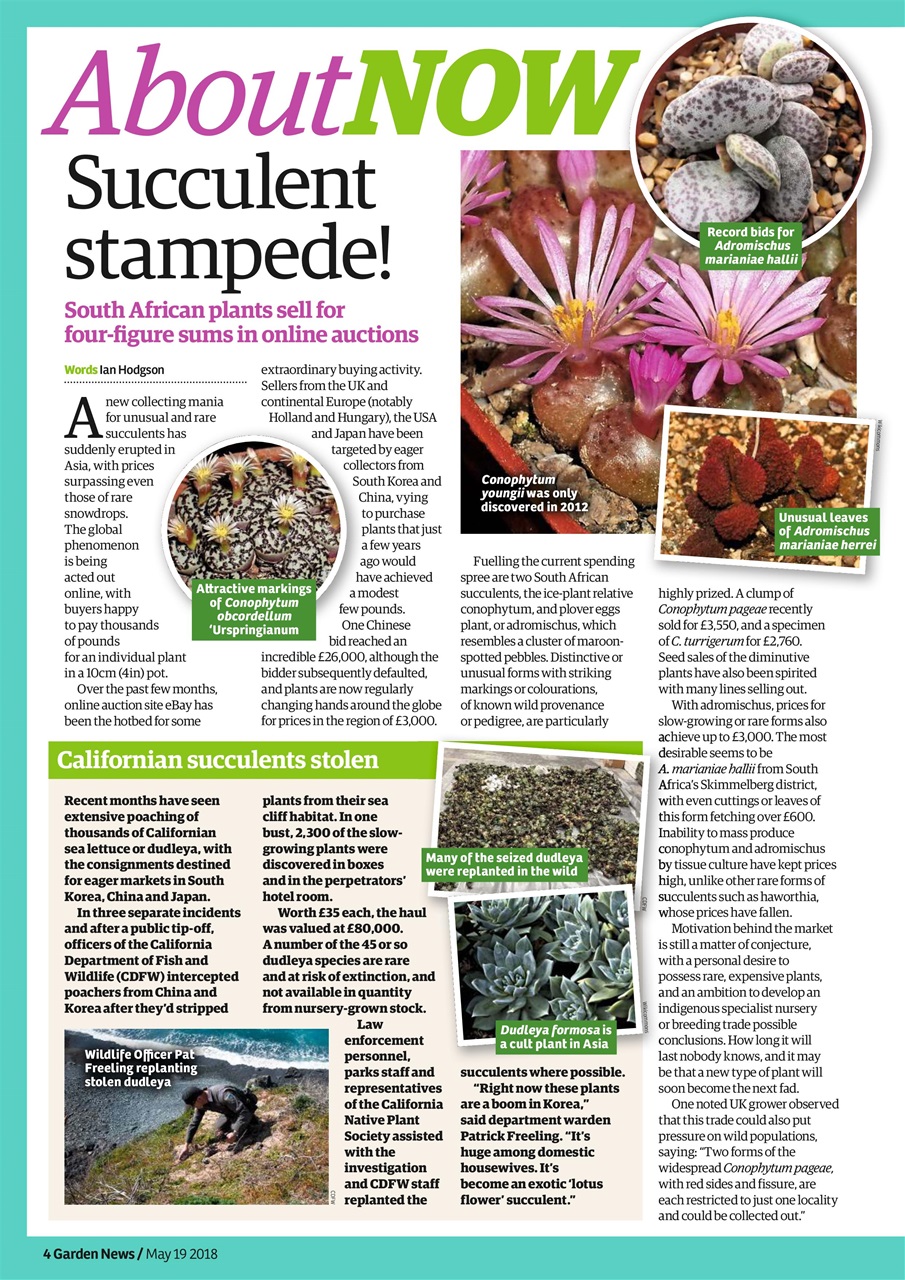 Garden News Preview Pages