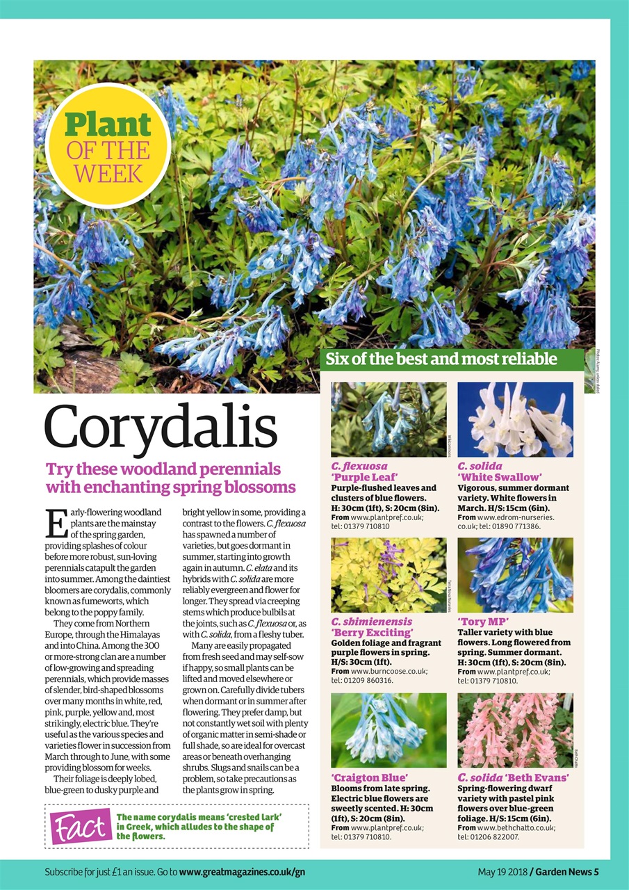 Garden News Preview Pages