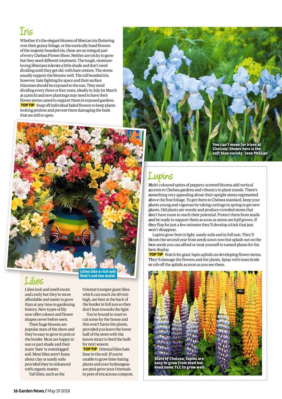 Garden News Preview Pages