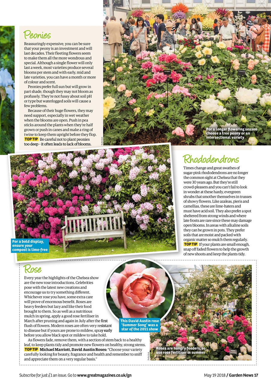Garden News Preview Pages