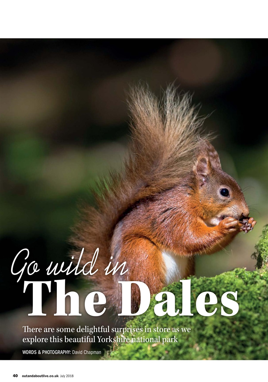 MMM magazine Preview Pages