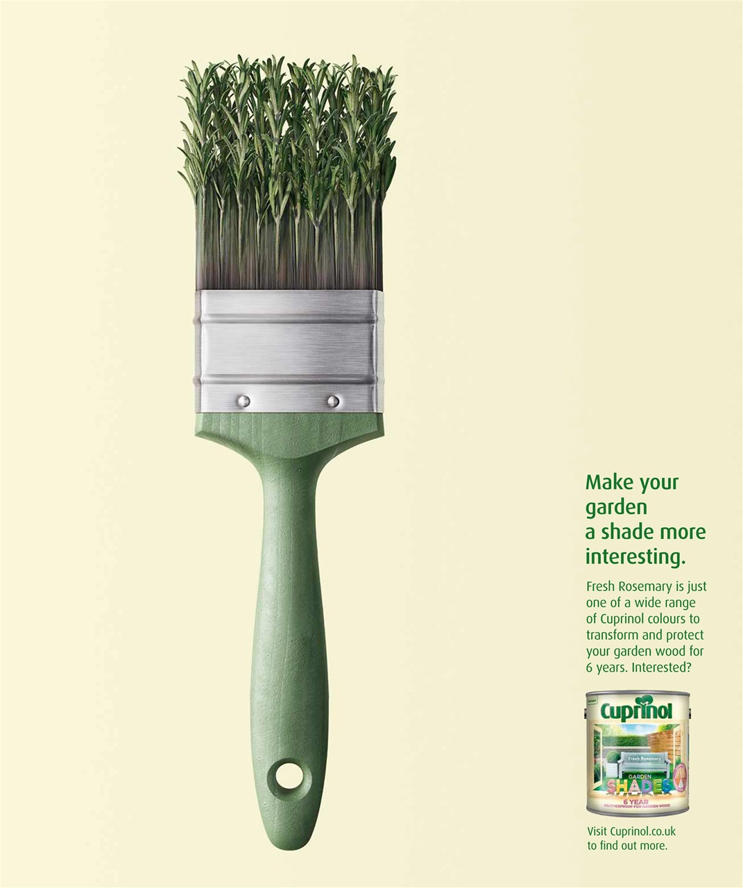 Olive Magazine Preview Pages