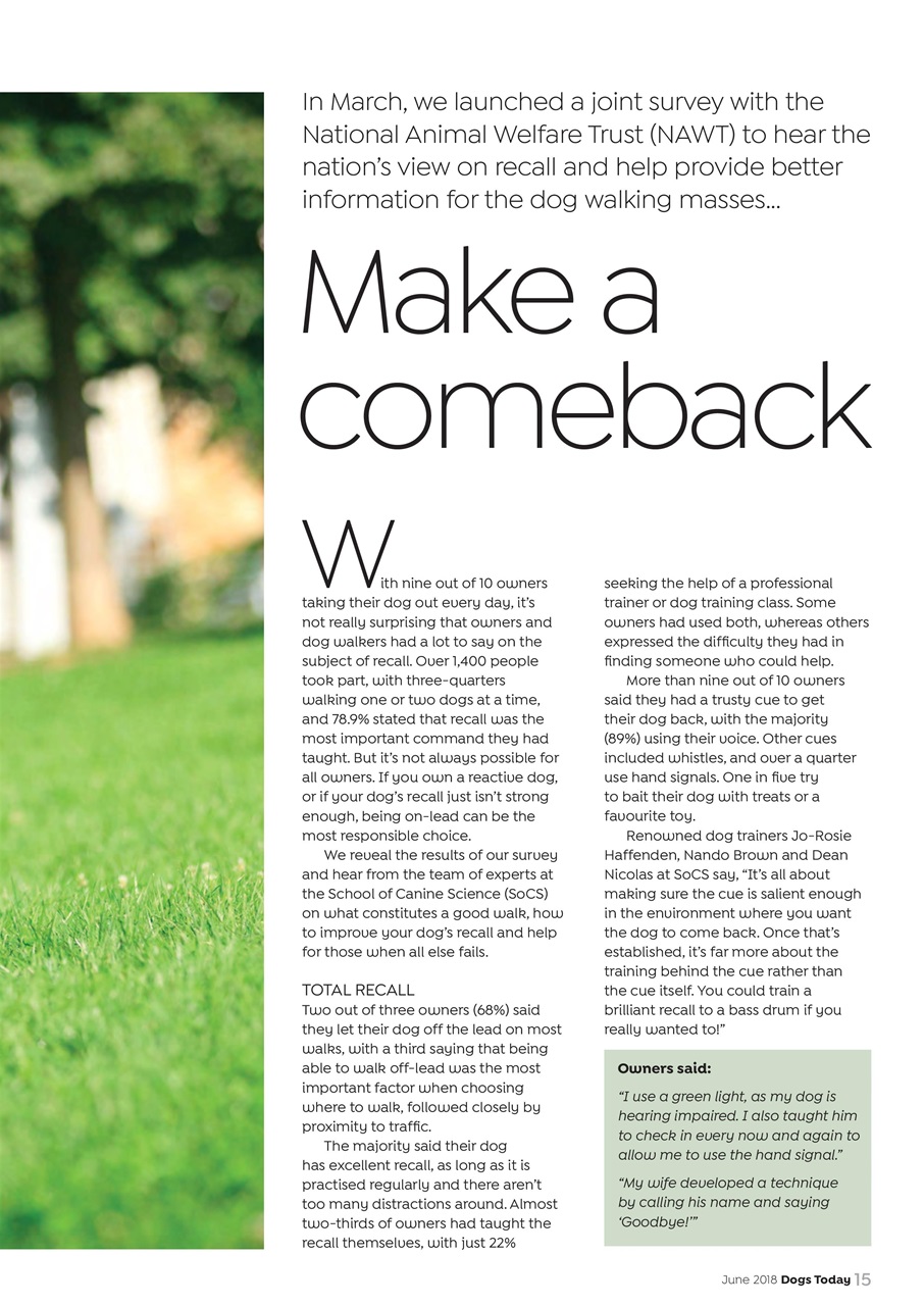 Dogs Today Magazine Preview Pages
