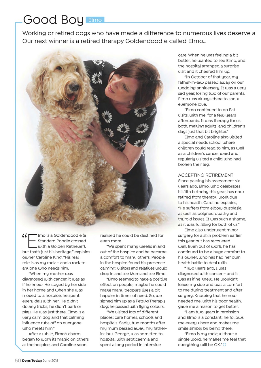 Dogs Today Magazine Preview Pages
