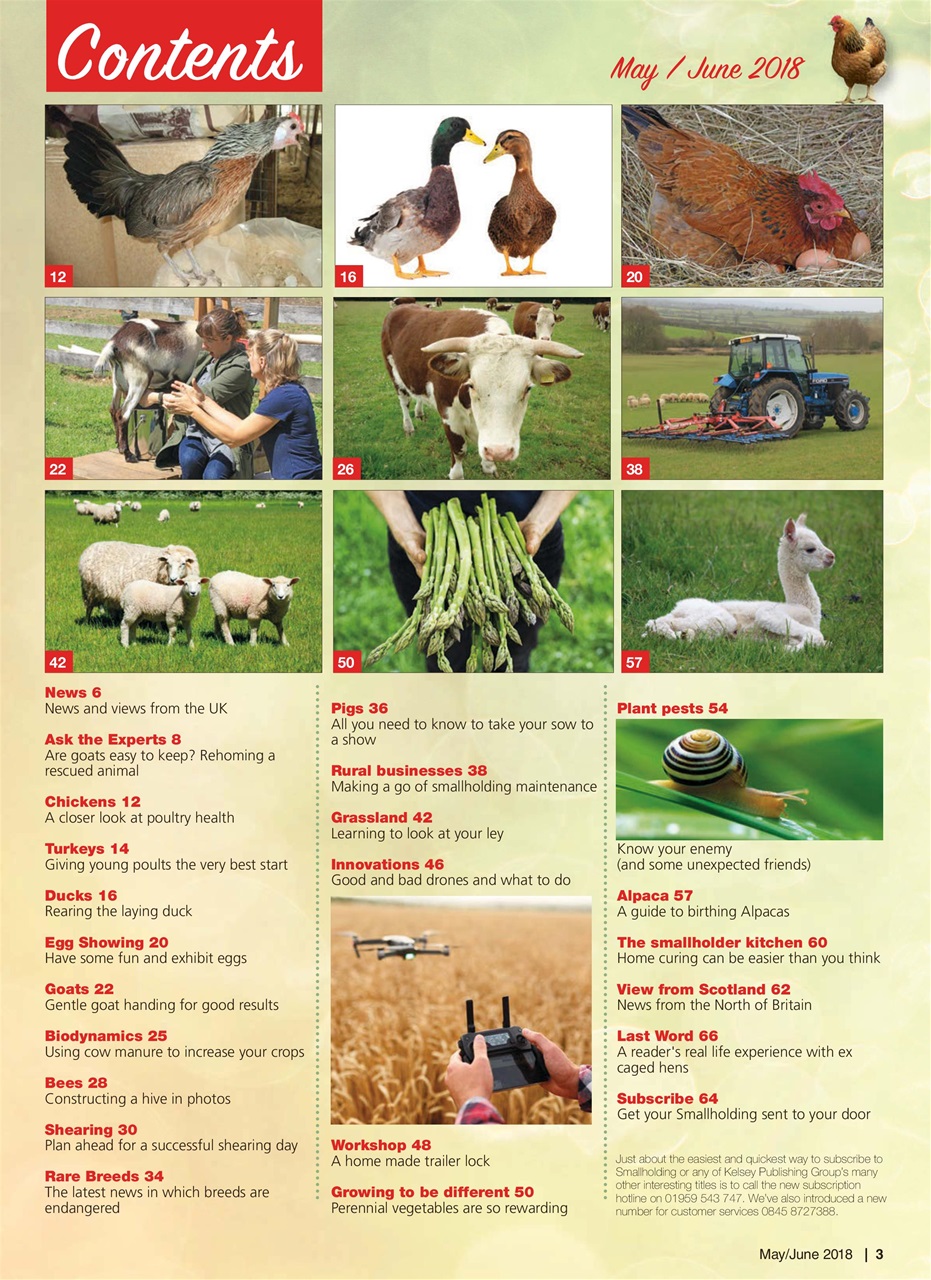 The Smallholder Preview Pages