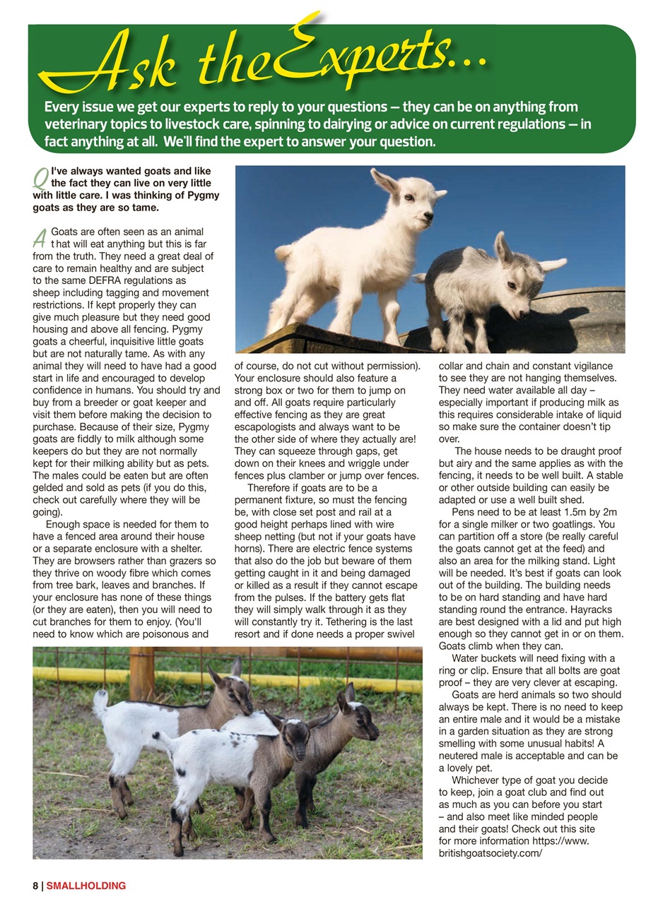 The Smallholder Preview Pages