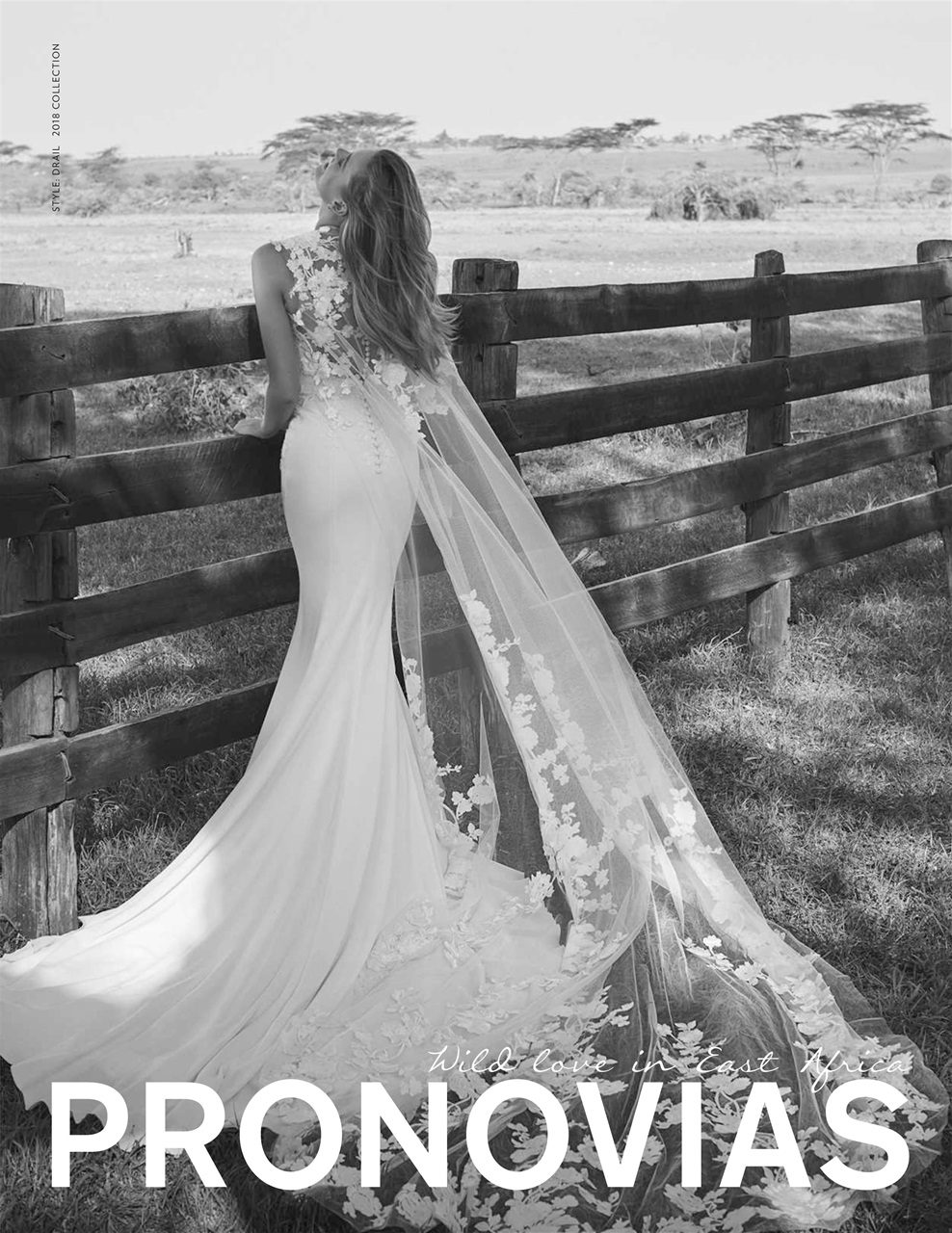 You & Your Wedding Preview Pages