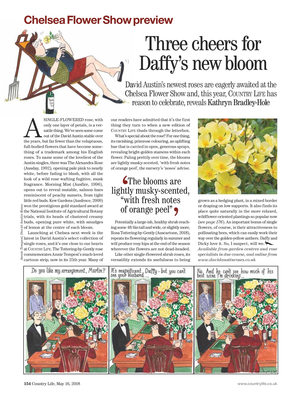 Country Life Preview Pages