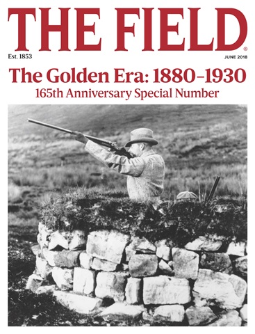 The Field issue June 2018