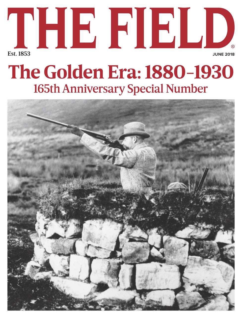 The Field Preview Pages