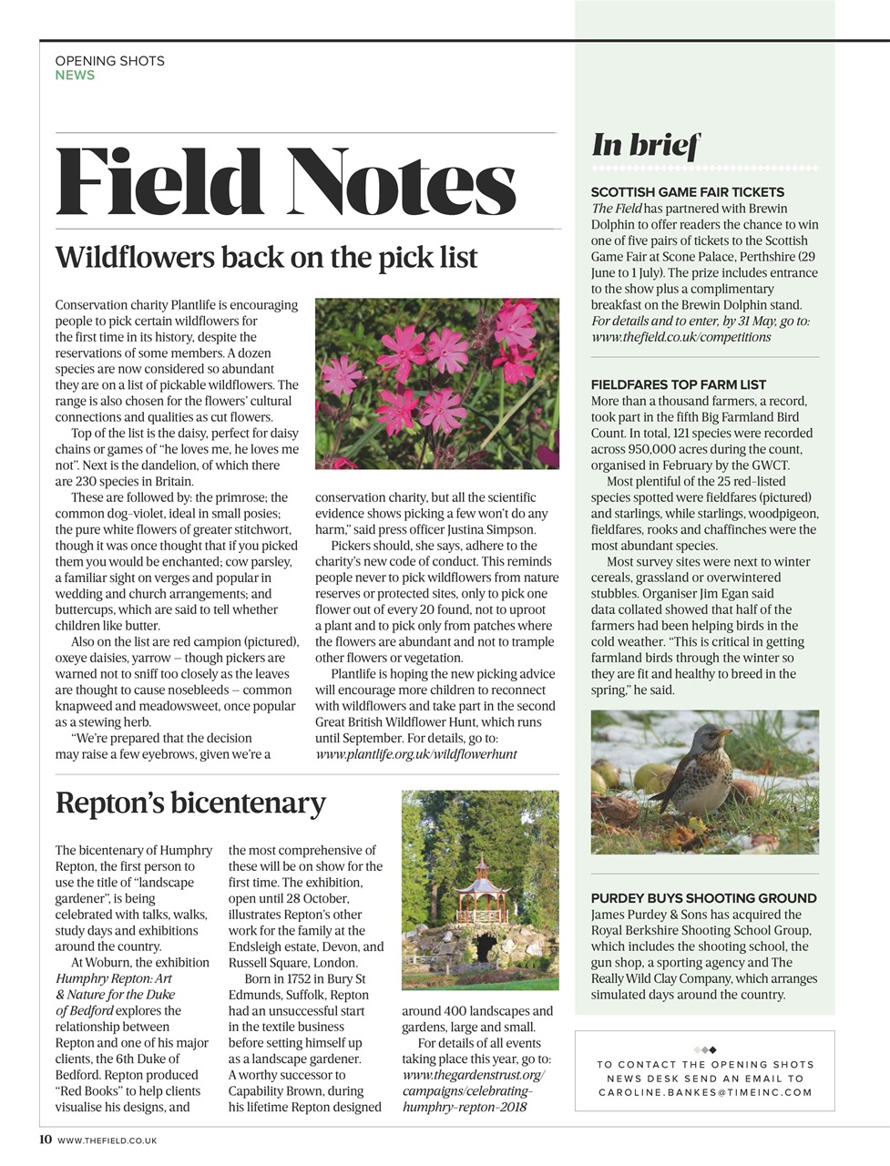 The Field Preview Pages