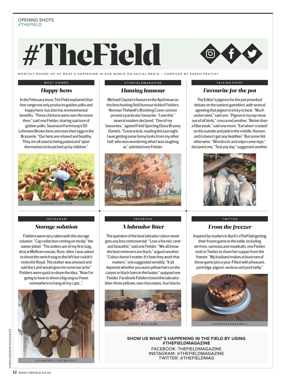 The Field Preview Pages