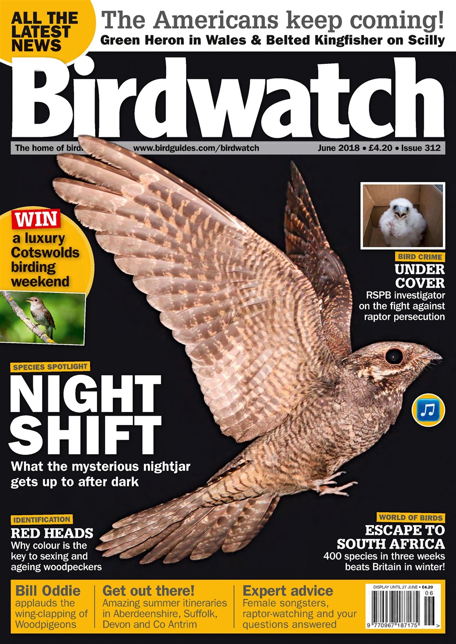 Birdwatch Magazine Preview Pages