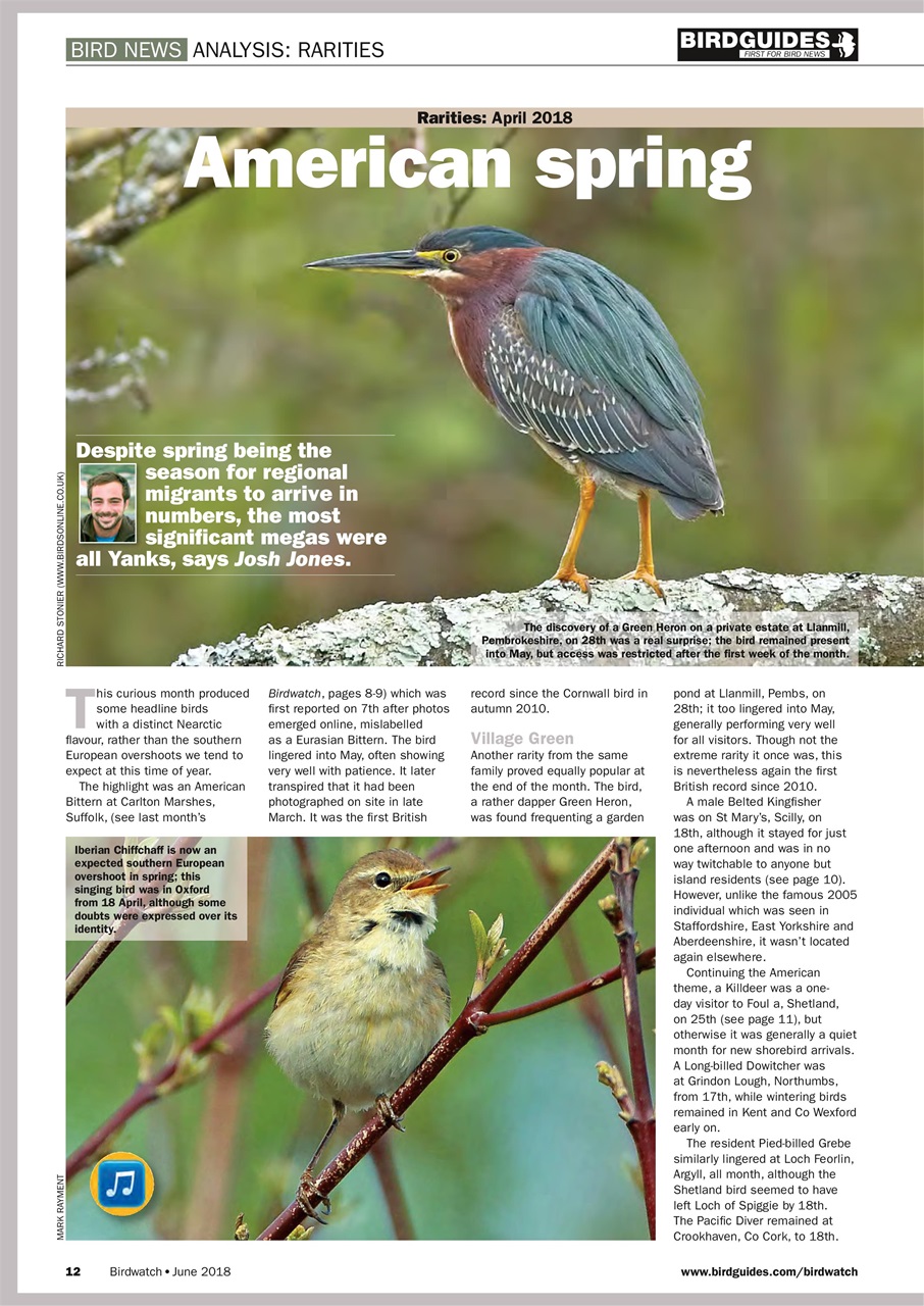 Birdwatch Magazine Preview Pages