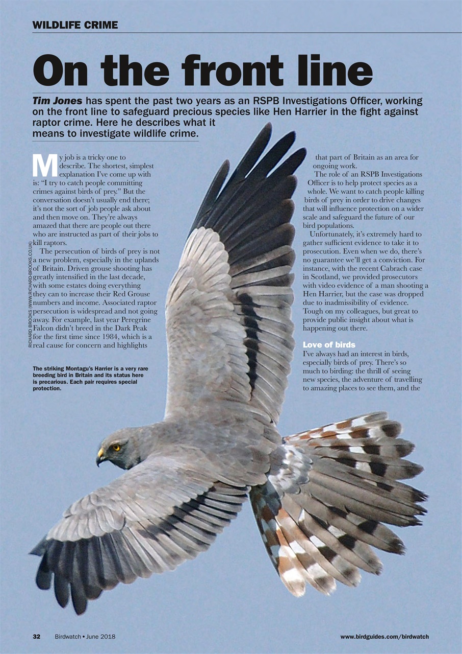 Birdwatch Magazine Preview Pages
