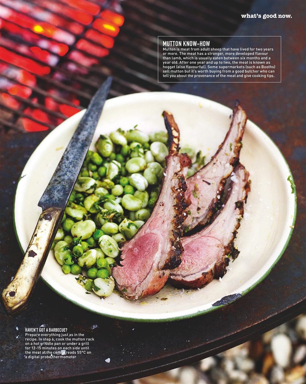 delicious. Magazine Preview Pages