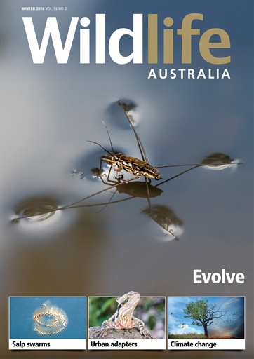 Wildlife Australia issue 