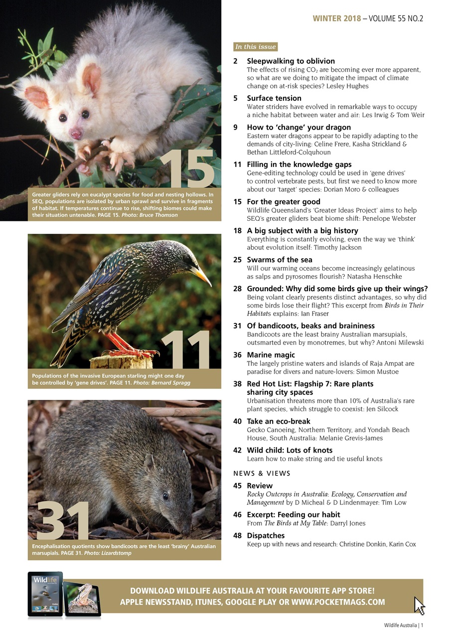 Wildlife Australia Preview Pages