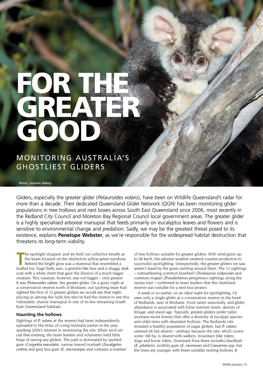 Wildlife Australia Preview Pages