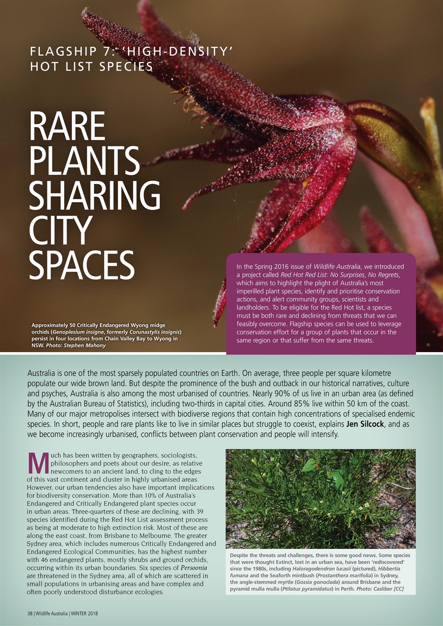 Wildlife Australia Preview Pages