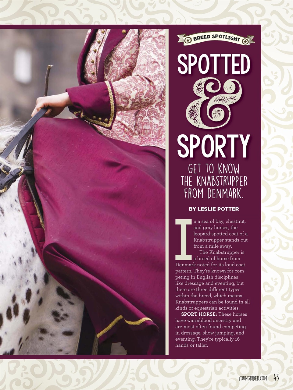 Young Rider Magazine Preview Pages