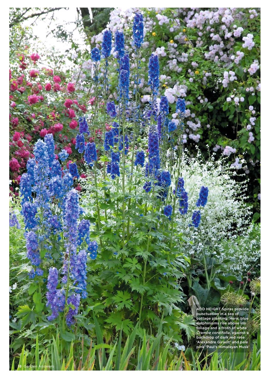 Garden Answers Preview Pages