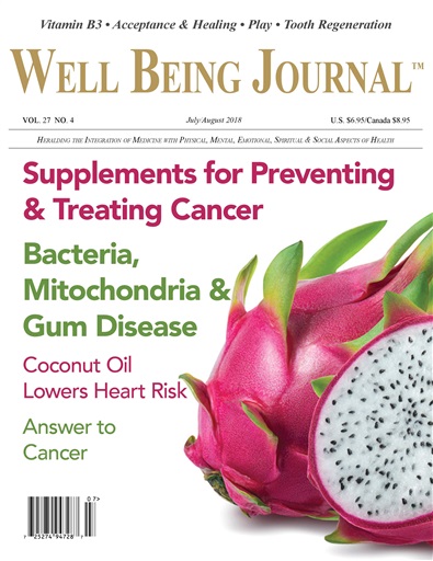 Well Being Journal issue 