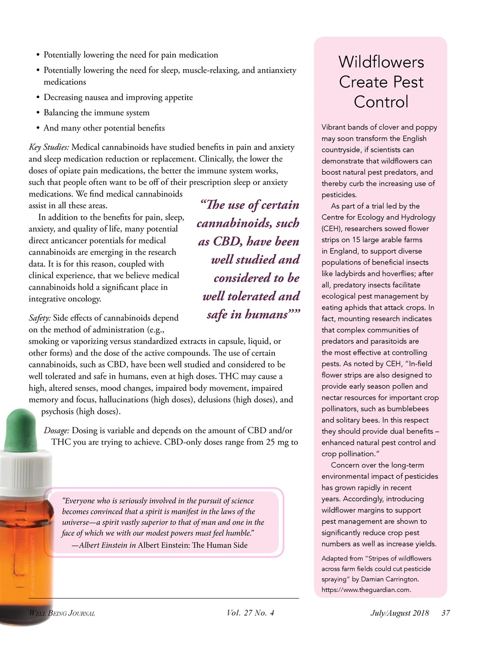 Well Being Journal Preview Pages