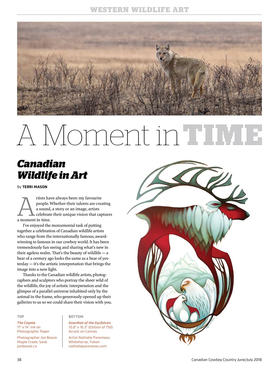 Canadian Cowboy Country Preview Pages