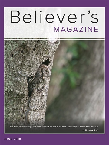 Believer Magazine issue June 2018