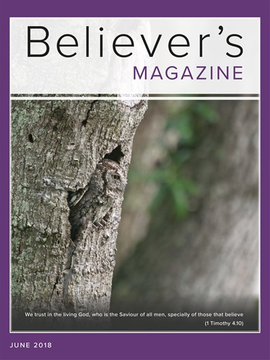 Believer Magazine issue 