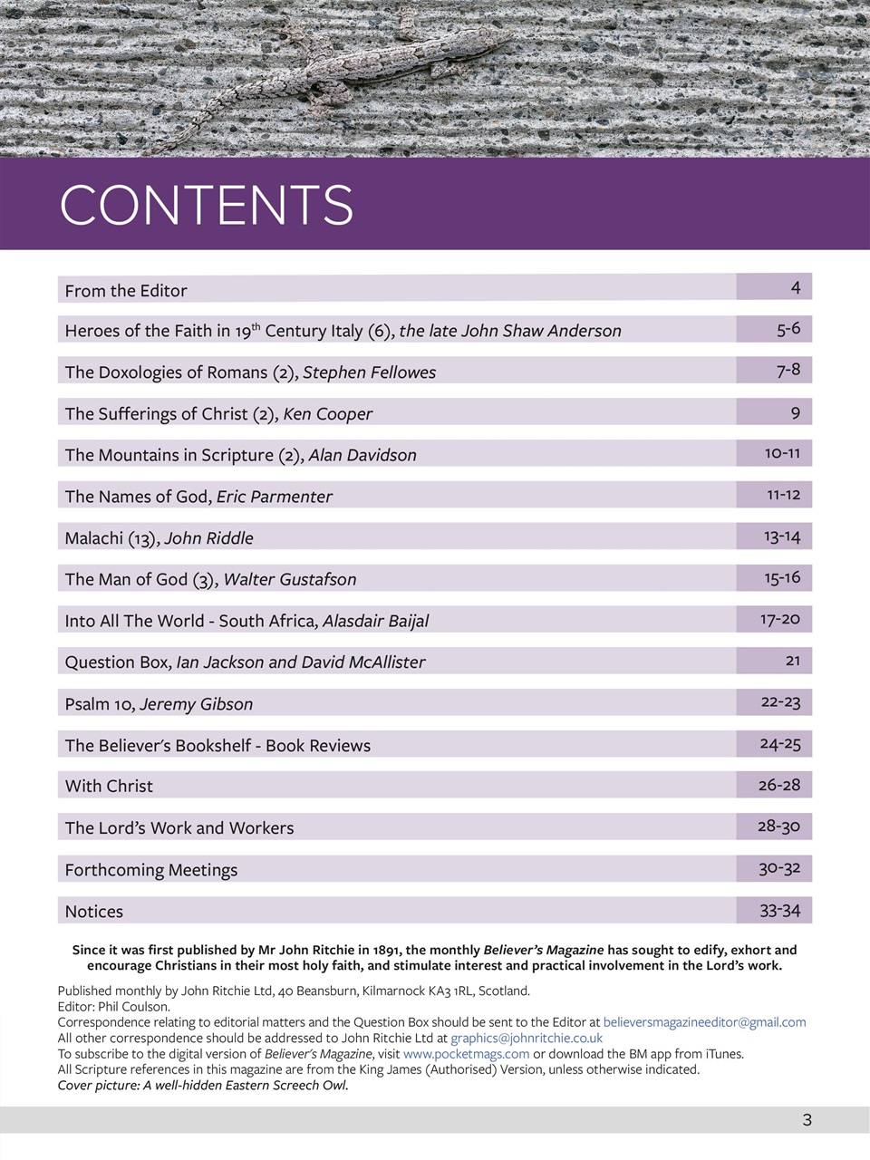 Believer Magazine Preview Pages