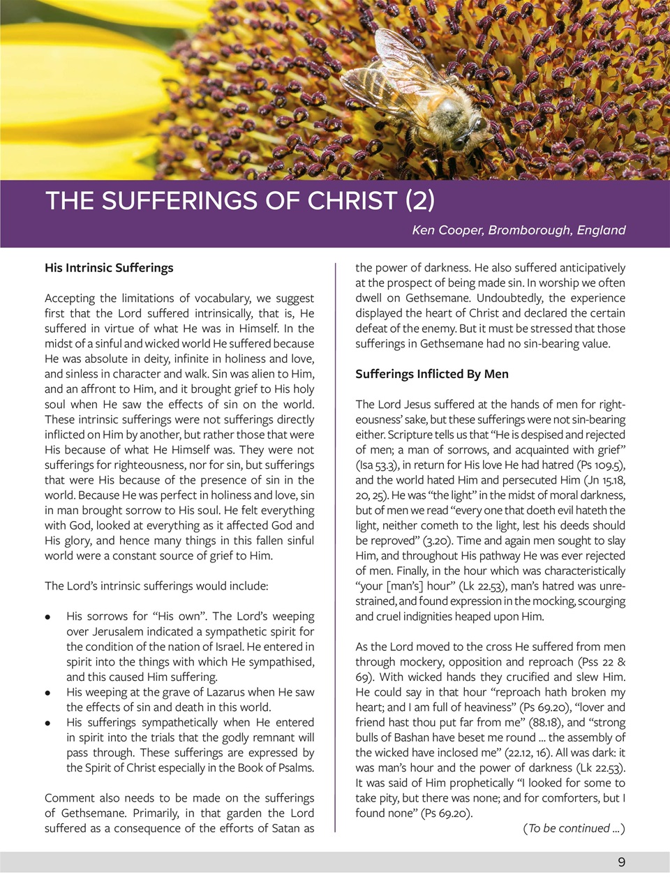 Believer Magazine Preview Pages