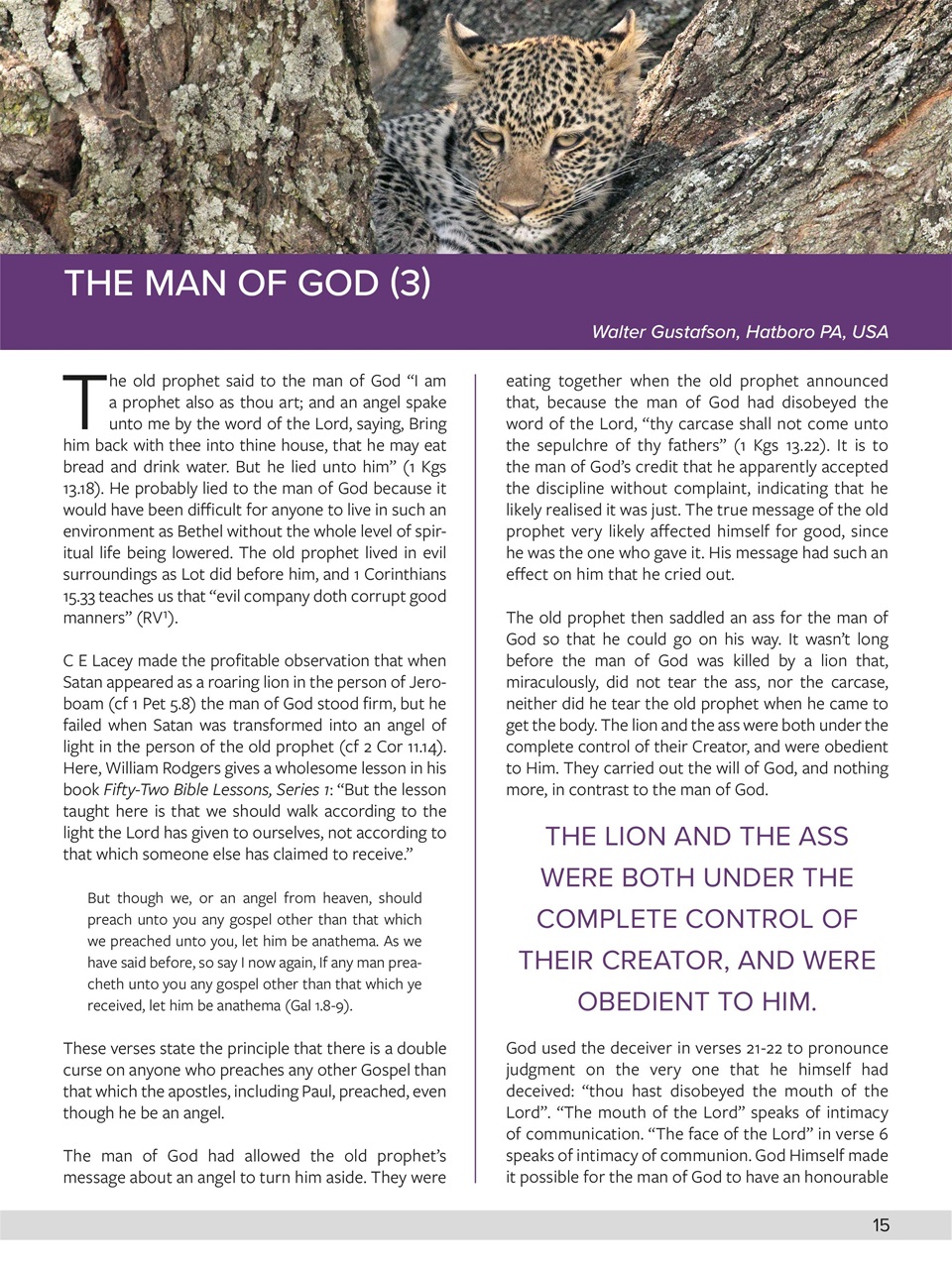 Believer Magazine Preview Pages