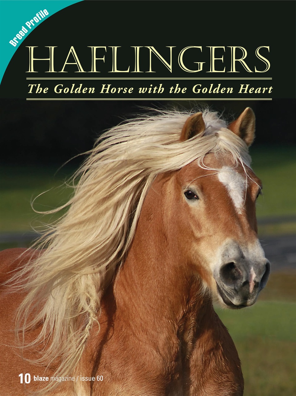 Blaze Magazine For Horse Crazy Kids Preview Pages