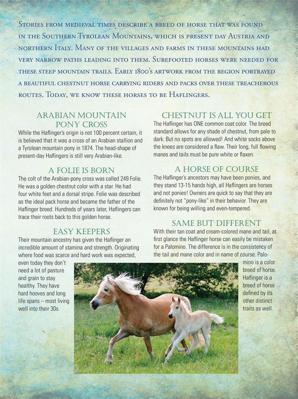 Blaze Magazine For Horse Crazy Kids Preview Pages
