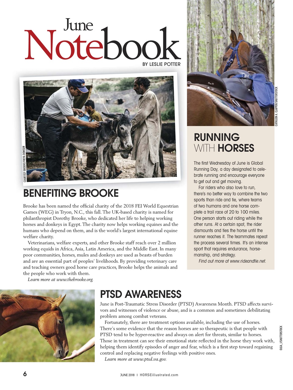 Horse Illustrated Magazine Preview Pages
