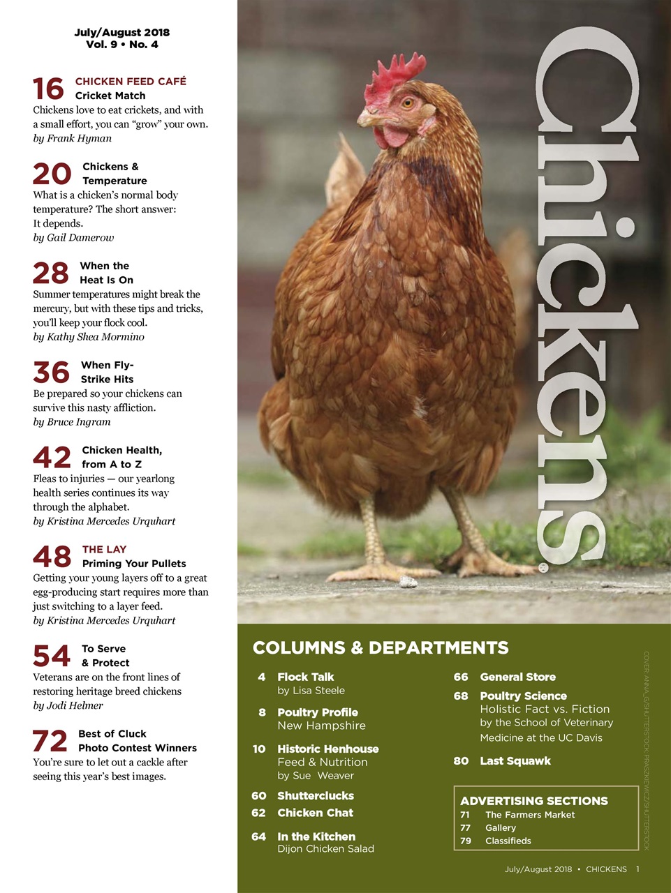 Chickens Magazine Preview Pages