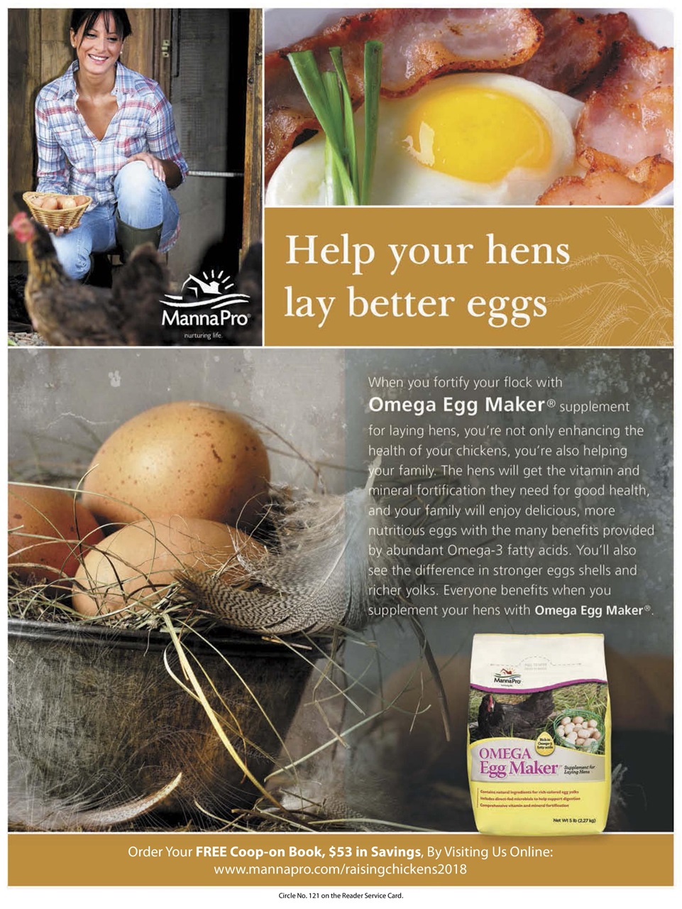 Chickens Magazine Preview Pages